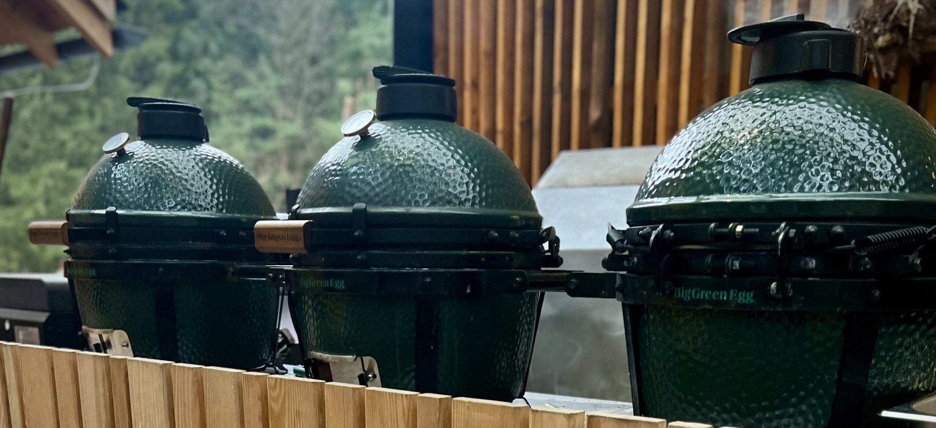 Školení s Big Green Egg